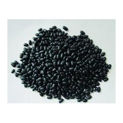 廊坊豆豉专用黑豆供应商推荐-黑豆批发价格