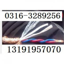 矿用通信电缆MHYV4x2x7/0.3,生产厂家