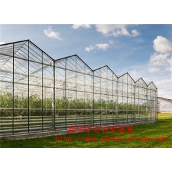 大连玻璃温室建设 花卉玻璃温室 智能玻璃温室 鑫华免费设计