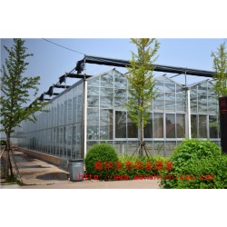 青州玻璃温室报价 异型玻璃温室 文洛式玻璃温室大棚用途
