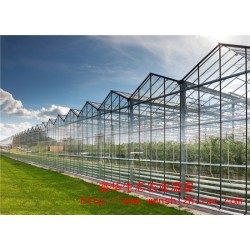 连栋智能玻璃温室 玻璃花卉房 微型玻璃温室建造标准