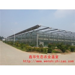 绿色玻璃温室 玻璃温室景观设计 光伏玻璃温室建造