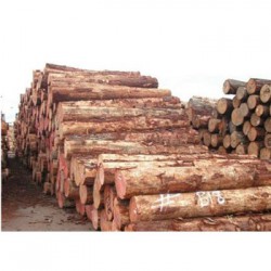 灵川收购松木企业一览表