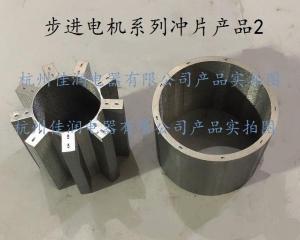 步進電(diàn)機(jī)系列沖片産品