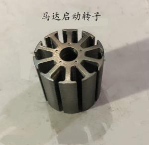 馬達啓動轉子(zǐ)